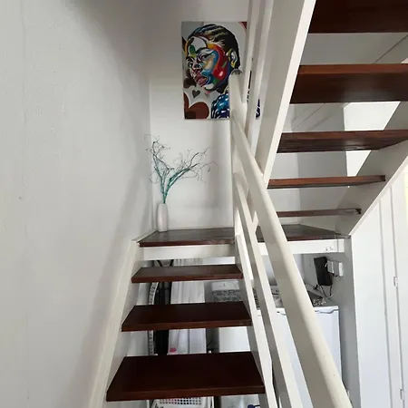Casa Cactus Paraiso